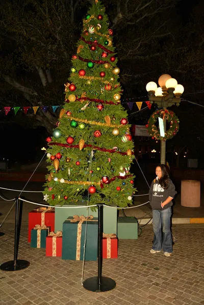 DSC_5639 (Large).JPG